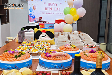 私たちの仲間を祝う：UISOLARでの誕生日の輝き
