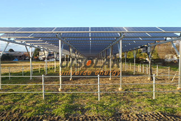 太陽光発電農業は、太陽電池パネルを使用して果物を育て、互いに補完し合っています